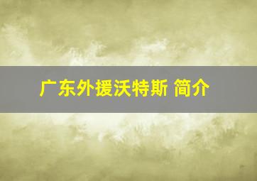 广东外援沃特斯 简介